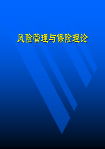 补充资料风险与风险管理有我国保险公司资料