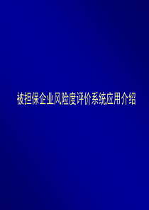 被担保企业风险度评价系统应用