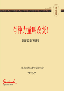 2019宝雍阁项目推广策略提报108P