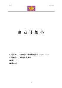 商业计划书-(投资计划书)
