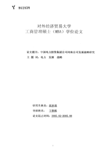 中国电力投资集团公司河南公司发展战略研究