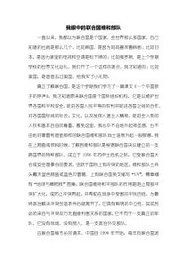 四年级作文：我眼中的联合国维和部队作文