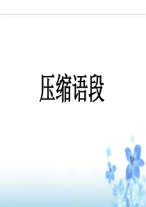 压缩语段---语段概括
