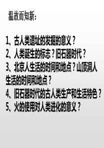 原始的农业聚落