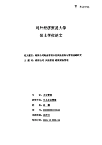 跨国公司财务管理中的风险控制与管理战略研究