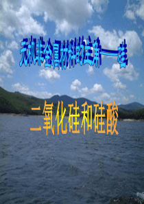 第一课时：二氧化硅和硅酸(优质课课件)
