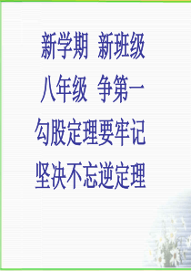 勾股定理复习课件(提高篇)