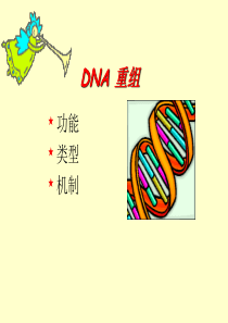 DNA重组