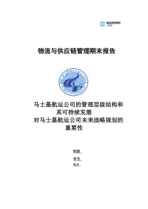 马士基航运公司的管理层级结构和其可持续发展对马士基航运公司未来战略规划的重要性