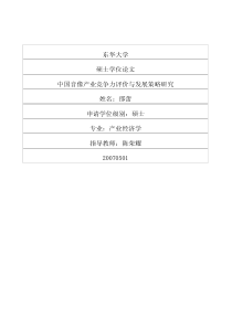 中国音像产业竞争力评价与发展策略研究