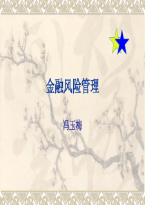金融风险管理3
