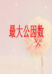 新人教版五年级下册数学最大公因数