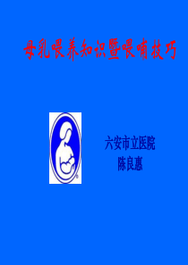 02母乳喂养知识及喂哺技巧(培训)