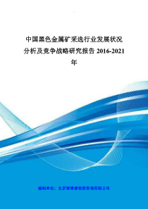 中国黑色金属矿采选行业发展状况分析及竞争战略研究报