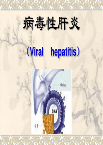 病毒性肝炎课件