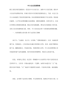 中小企业发展策略(doc6)(1)