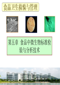 食品中微生物标准检验与分析技术