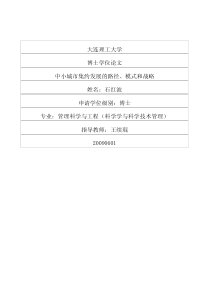 中小城市集约发展的路径、模式和战略