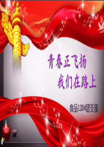 团支部风采大赛-(1)