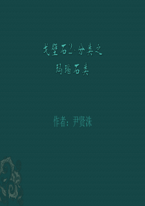 戈壁石2-分类之