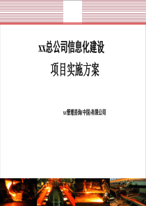 总公司信息化建设项目实施方案模板