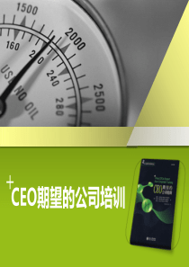CEO期望的企业培训