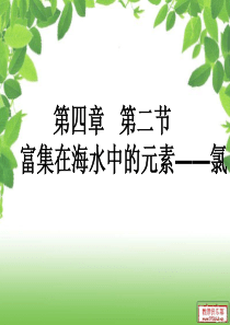 富集在海水中的元素氯 课件