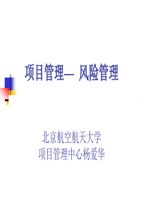 项目管理风险管理