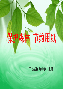 纸从哪里来