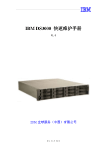 IBM DS3000 快速维护手册 v1.0