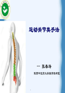 背法、扳法   张春涛