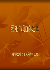 困难气道的处理2008