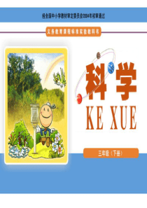 3  观测风  教学课件