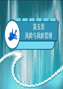 风险与风险管理