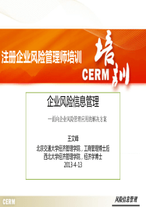 风险信息管理-王文峰