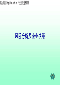 风险分析及企业决策(PPT30页)