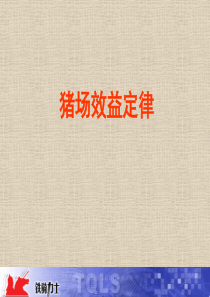 78猪场效益定律