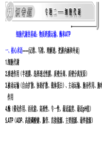 细胞代谢的基础：物质跨膜、酶和ATP