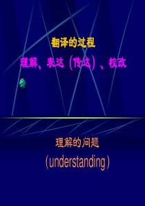 3.翻译过程