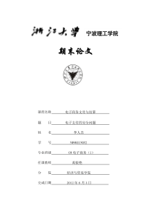 电子支付安全问题学年论文