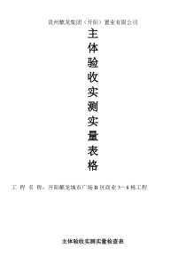 主体验收实测实量表格