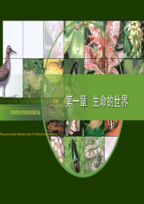 北师大版初中生物复习课件全4册