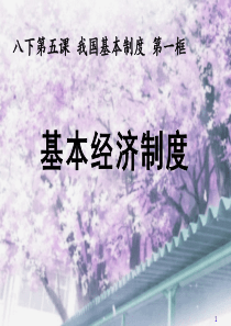 5.1基本经济制度1