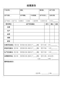 结案报告