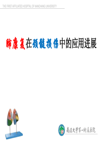 肺康复在颈髓损伤中的应用进展