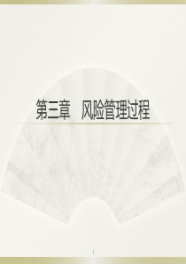 风险管理第三章