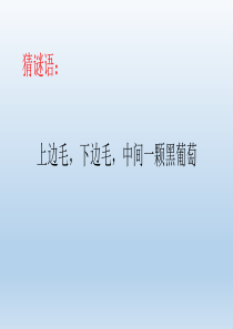 我有一双亮眼睛