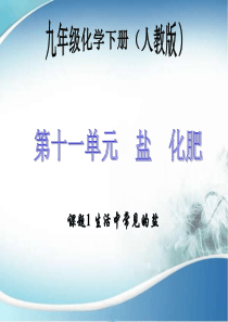 2015-2016年九年级化学第11单元课题1-生活中常见的盐36.ppt
