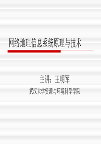 网络地理信息系统原理及技术