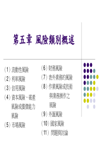 风险类别概述